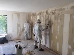 Best Real Estate Mold Inspection  in Ocean Gate, NJ